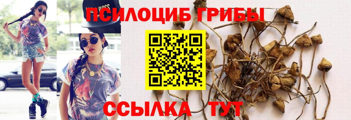 Галлюциногенные грибы прущие грибы Артём