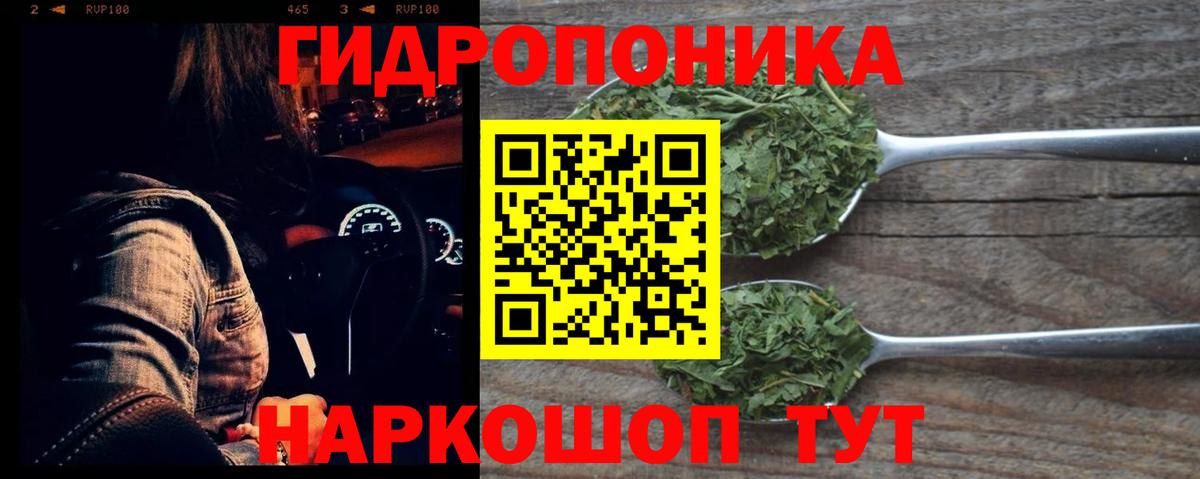 Бошки марихуана ГИДРОПОН  Вход с VPN  Каннабис Amnesia  Артём  Конопля LSD WEED 